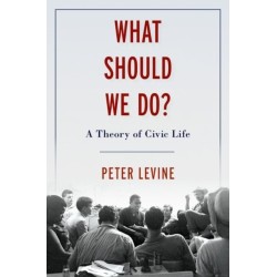 What Should We Do?: A Theory of Civic Life