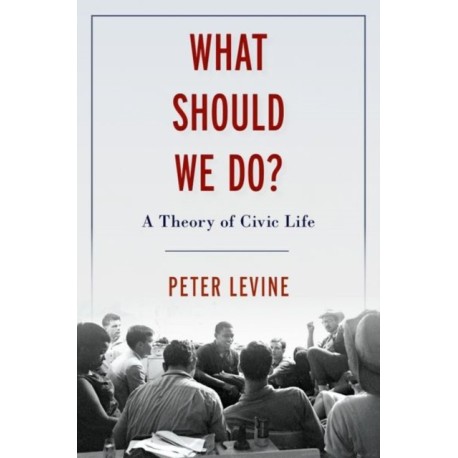 What Should We Do?: A Theory of Civic Life