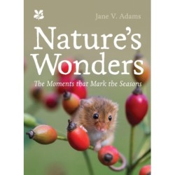 Nature’s Wonders: Moments That Mark the Seasons