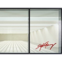 Sylvie Fleury: Double Positive