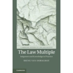 The Law Multiple: Judgment and Knowledge in Practice