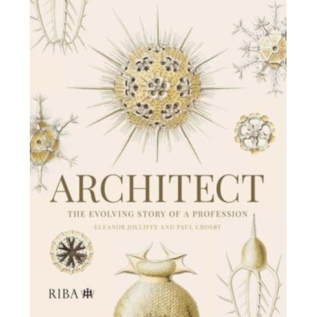 Architect: The evolving story of a profession