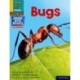 Read Write Inc. Phonics: Bugs (Yellow Set 5 NF Book Bag Book 3)