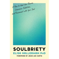 Soulbriety : A Plan to Heal Your Trauma, Overcome Addiction, and Reconnect With Your Soul: A Plan to Heal Your Trauma, Overcome Addiction, and Reconnect With Your Soul