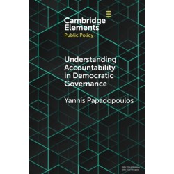 Understanding Accountability in Democratic Governance