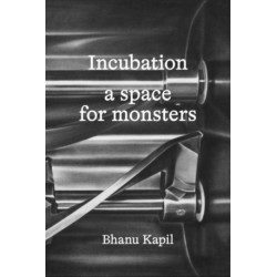 Incubation: a space for monsters