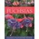 Fuchsias, The Complete Guide to Growing: How to cultivate fuchsias with practical gardening advice and an illustrated directory of 500 varieties