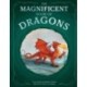 The Magnificent Book of Dragons