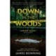 Down in the Woods: A Carlow Valley Mystery