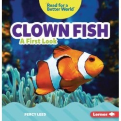 Clown Fish: A First Look