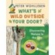What's Wild Outside Your Door?: Discovering Nature in the City