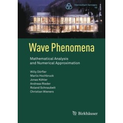 Wave Phenomena: Mathematical Analysis and Numerical Approximation