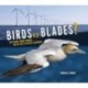 Birds vs. Blades?: Offshore Wind Power and the Race to Protect Seabirds