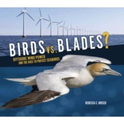 Birds vs. Blades?: Offshore Wind Power and the Race to Protect Seabirds