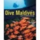 Dive Maldives: A Guide to the Maldives Archipelago