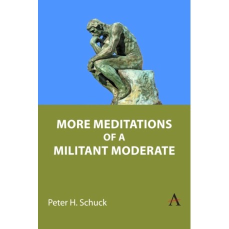 More Meditations of a Militant Moderate