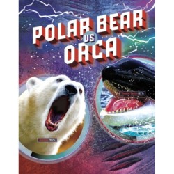 Polar Bear vs Orca