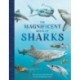 The Magnificent Book of Sharks