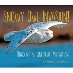 Snowy Owl Invasion!: Tracking an Unusual Migration