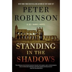 Standing in the Shadows: A Novel