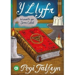 Cyfres Amdani: Y Llyfr