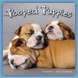 POOPED PUPPIES