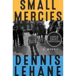 Small Mercies: A Novel