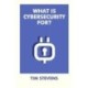 What Is Cybersecurity For?