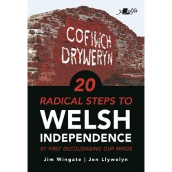 20 Radical Steps to Welsh Independence: ...by first decolonising our minds