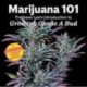 Marijuana 101: Professor Lee's Introduction to Growing Grade A Bud 2nd Edition