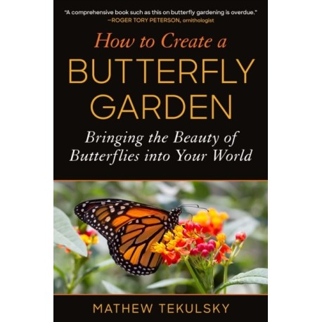 How to Create a Butterfly Garden: Bringing the Beauty of Butterflies into Your World