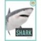 Spotlight on Nature: Shark