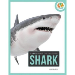 Spotlight on Nature: Shark