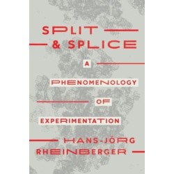Split and Splice: A Phenomenology of Experimentation