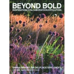 Beyond Bold: Inspiration, Collaboration, Evolution