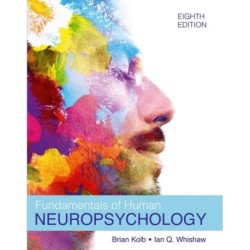 Fundamentals of Human Neuropsychology