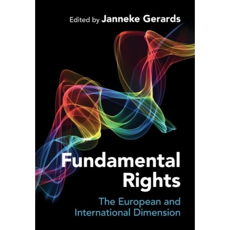 Fundamental Rights: The European and International Dimension