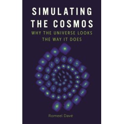 Simulating the Cosmos: Why the Universe Looks the Way It Does