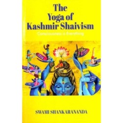 Consciousness is Everything