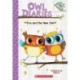 Eva and the New Owl: A Branches Book (Owl Diaries -4): A Branches Book