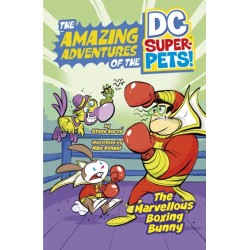 The Marvellous Boxing Bunny