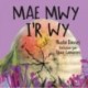 Mae Mwy I’r Wy