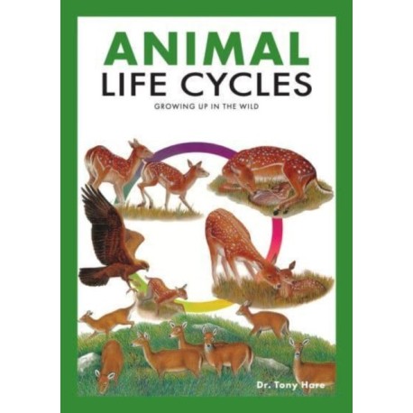 Animal Life Cycles: Discovering How Animals Live in the Wild