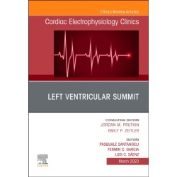 Left Ventricular Summit, An Issue of Cardiac Electrophysiology Clinics