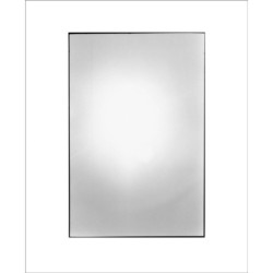 Zoe Leonard: Available Light