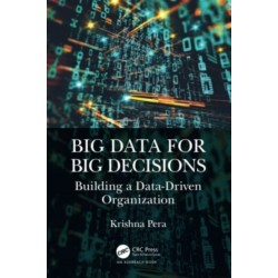 Big Data for Big Decisions: Building a Data-Driven Organization