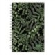 DESIGNER FANCY FERNS
