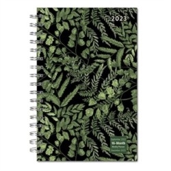 DESIGNER FANCY FERNS