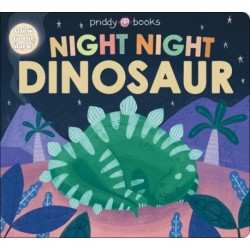 Night Night Dinosaur (Night Night Books)