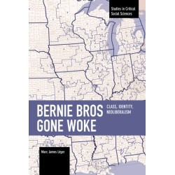 Bernie Bros Gone Woke: Class, Identity, Neoliberalism